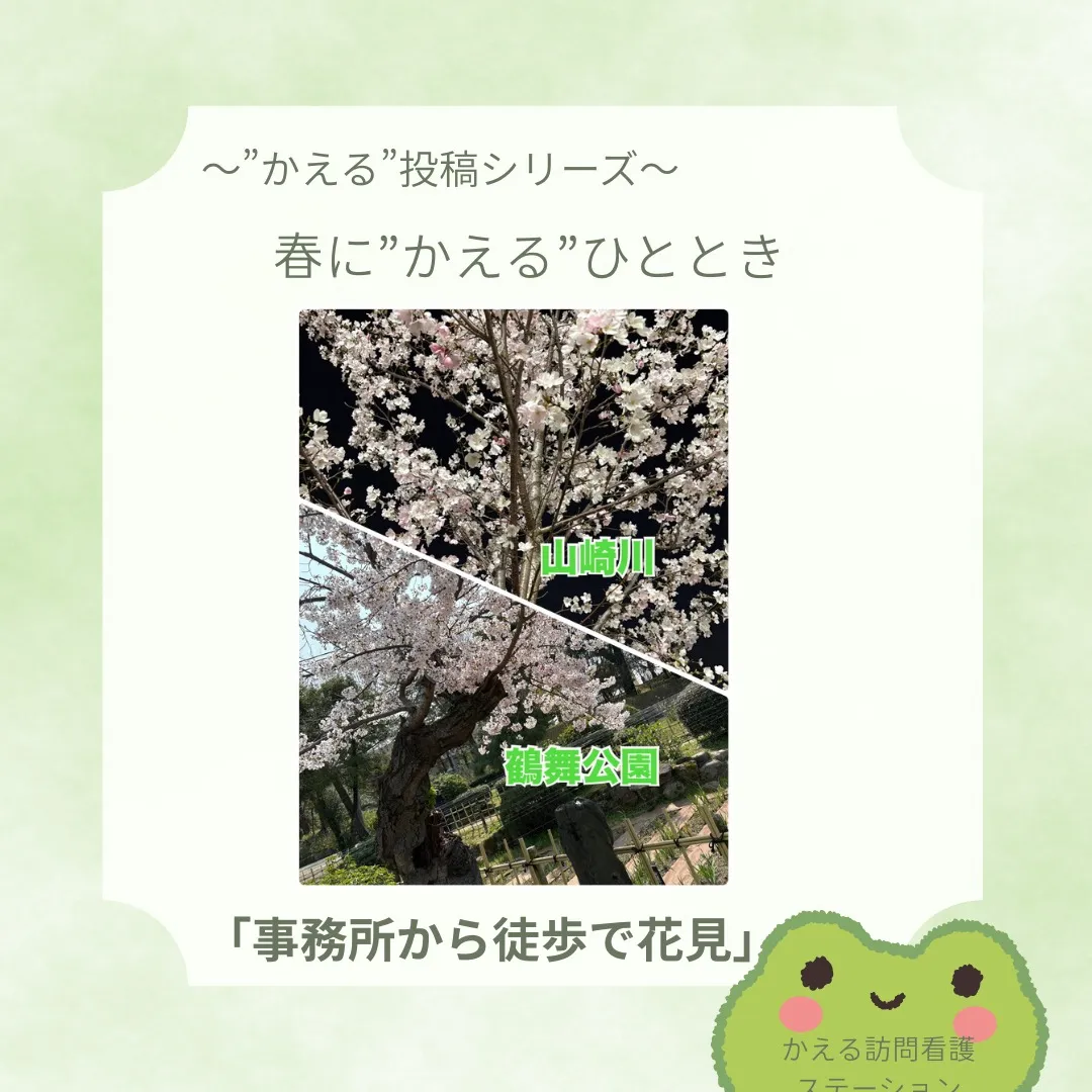 「事務所から徒歩で花見」🌸